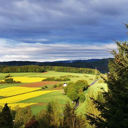 Geraeumige 2-Z Wohnung Im Gruenen, Garten, Terrasse, Ruhig, Natur, Phantastischer Blick! Marburg Exteriör bild