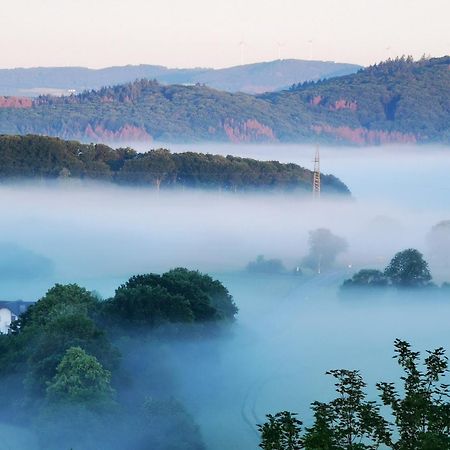 Geraeumige 2-Z Wohnung Im Gruenen, Garten, Terrasse, Ruhig, Natur, Phantastischer Blick! Marburg Exteriör bild