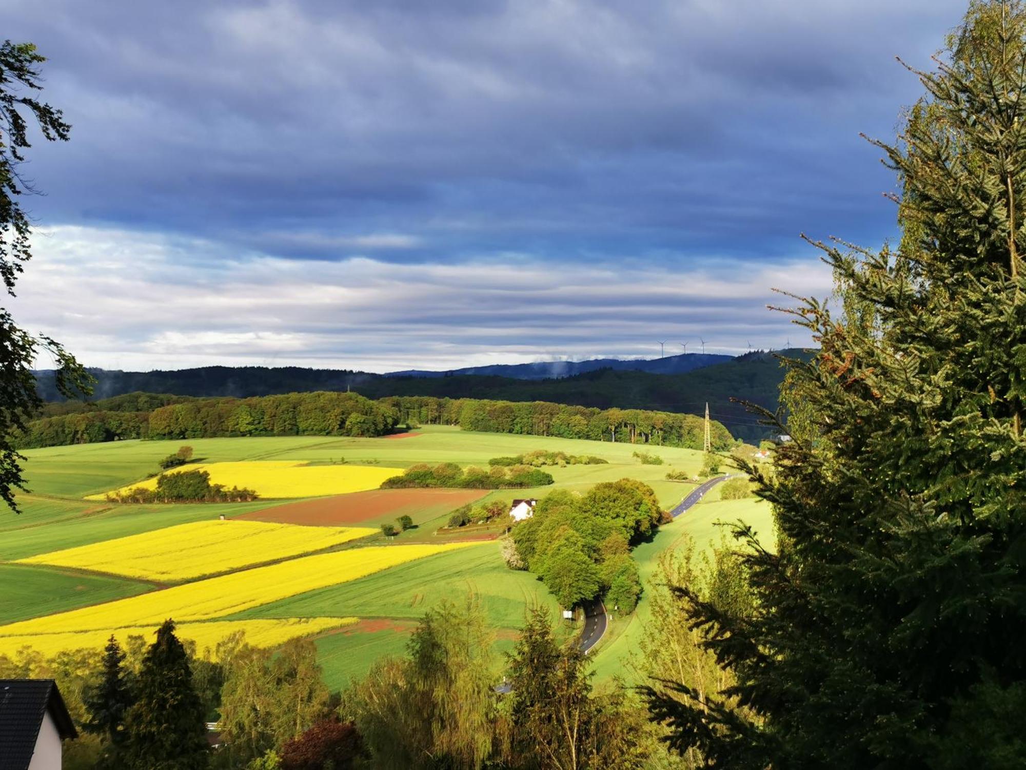 Geraeumige 2-Z Wohnung Im Gruenen, Garten, Terrasse, Ruhig, Natur, Phantastischer Blick! Marburg Exteriör bild