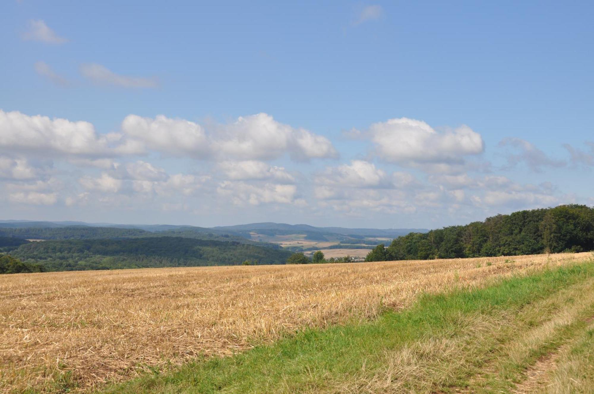 Geraeumige 2-Z Wohnung Im Gruenen, Garten, Terrasse, Ruhig, Natur, Phantastischer Blick! Marburg Exteriör bild